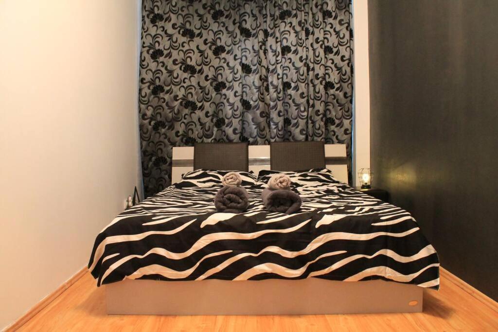 Yua'Shomes-Bussiness And Travel Apartment كلوج-نابوكا المظهر الخارجي الصورة